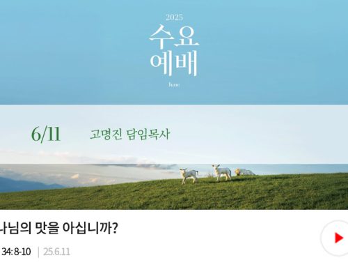 수요예배-25.06.11